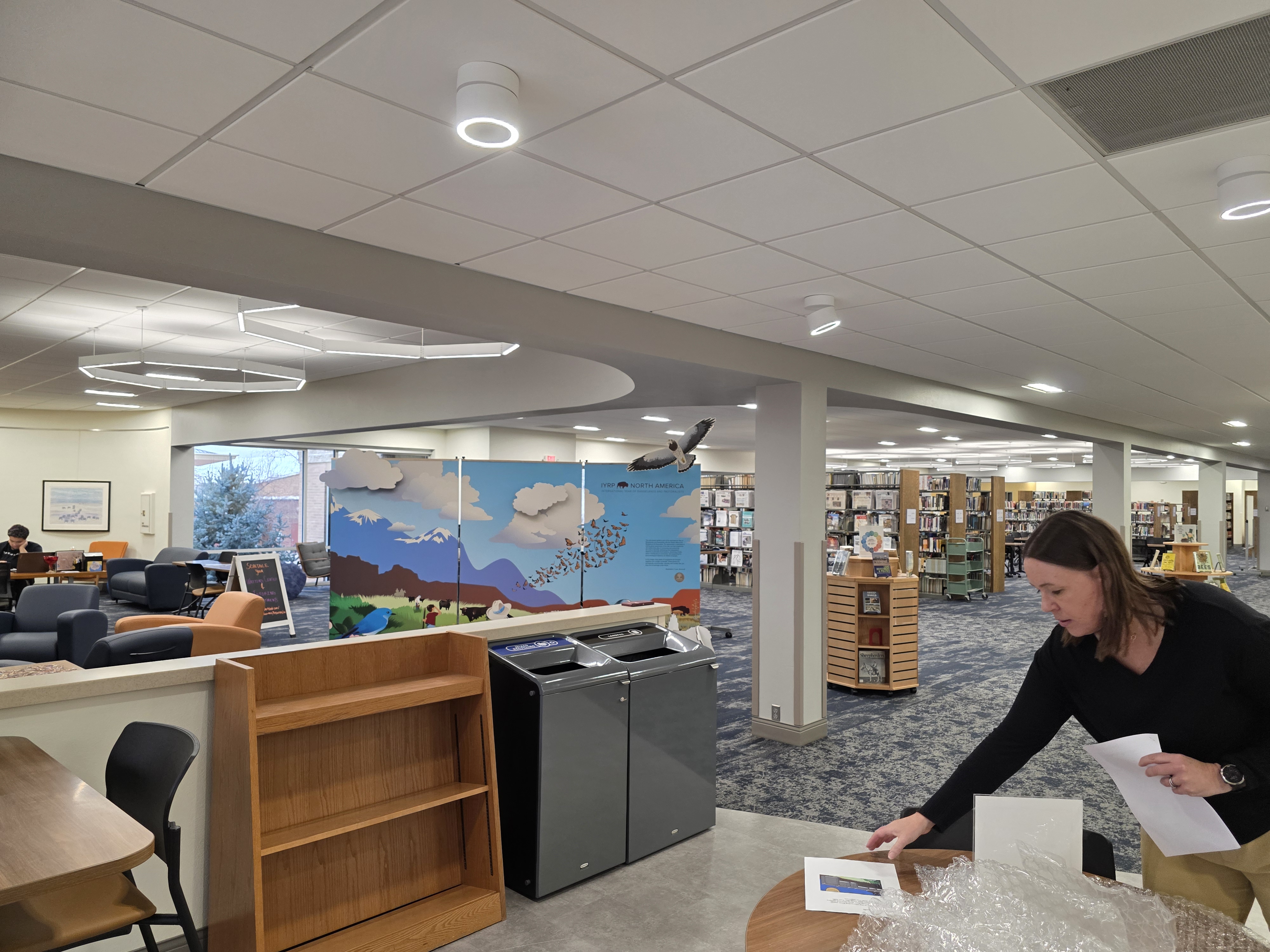 IYRP kiosk at Sheridan College library
