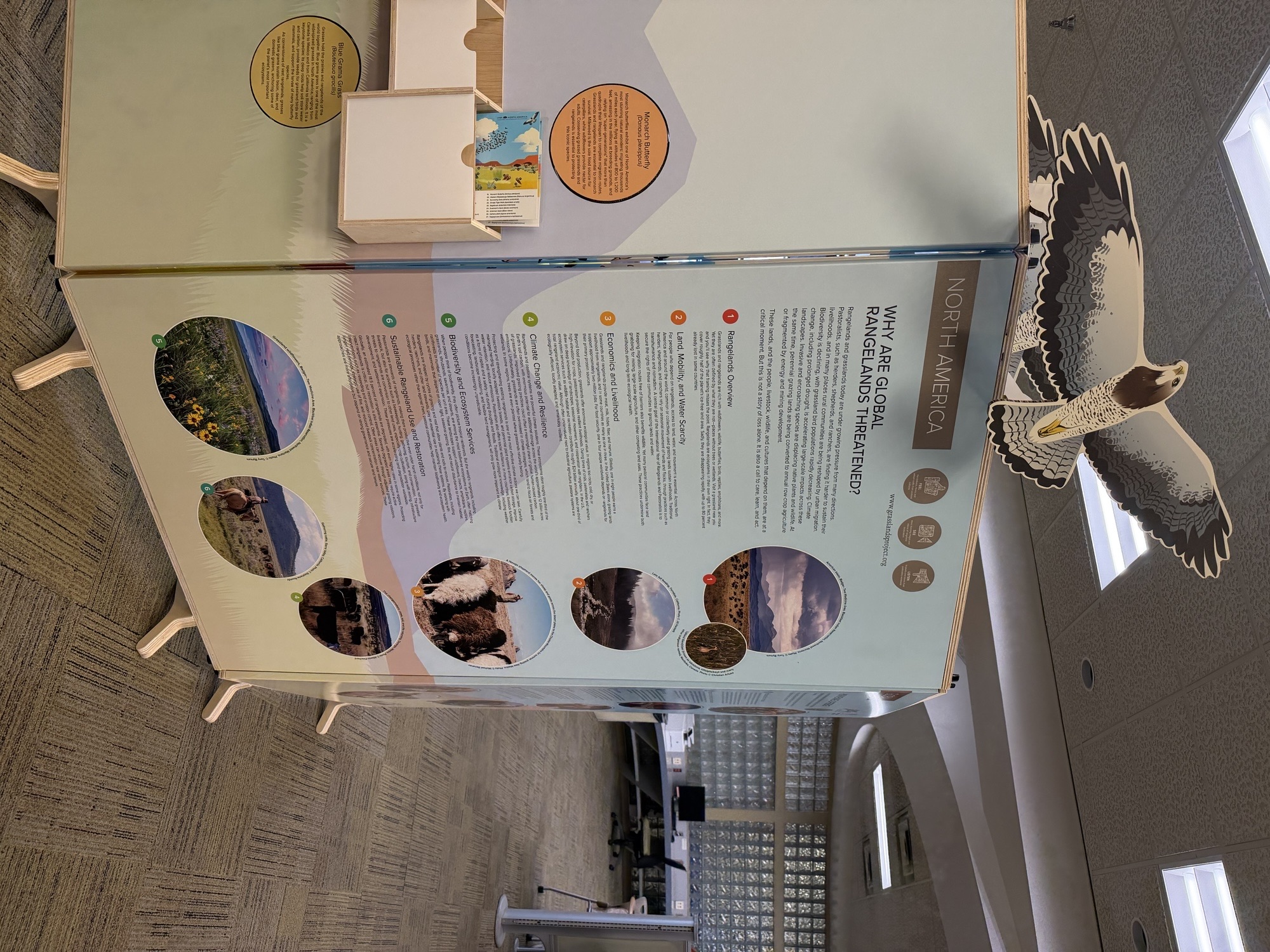 NMSU library exhibit