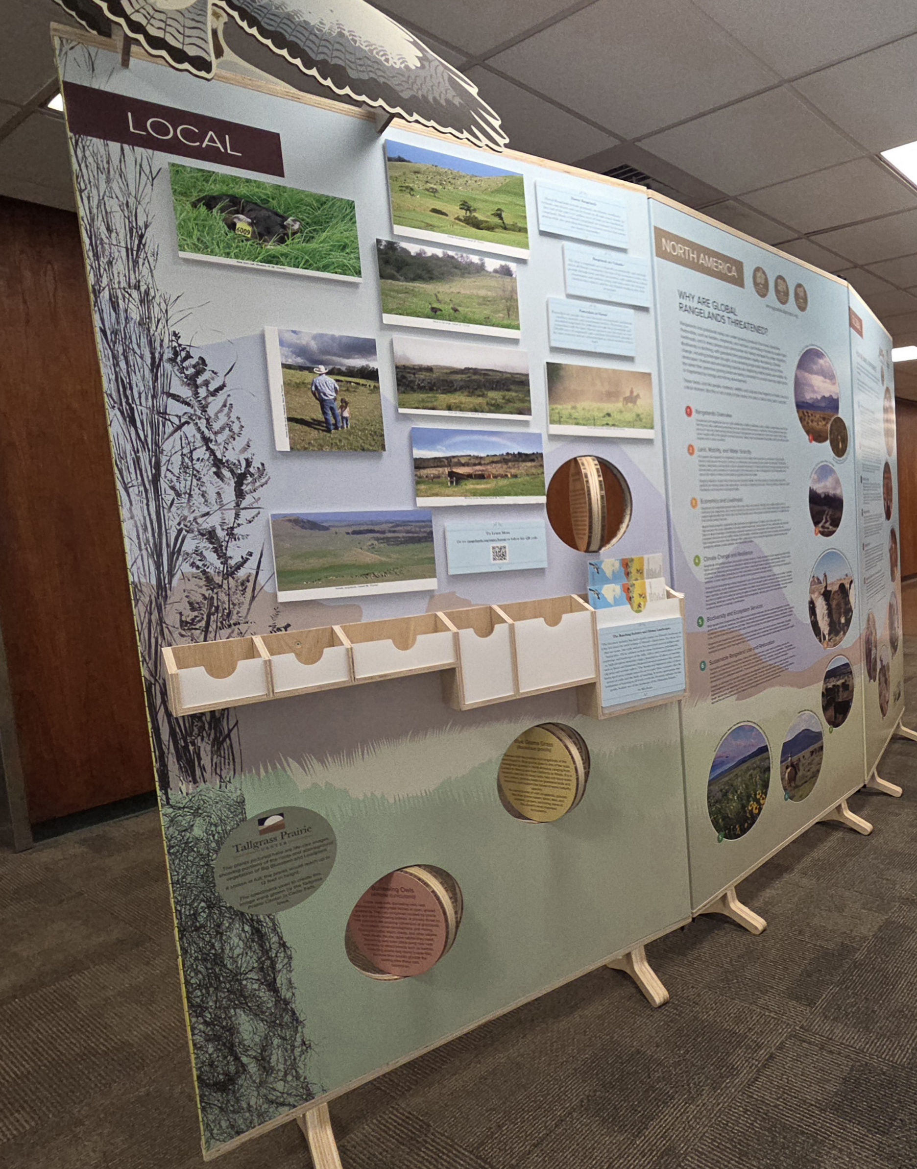 A picture of the exhibit at the Hamilton library