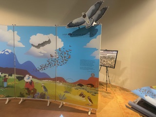 Sage Center IYRP Display