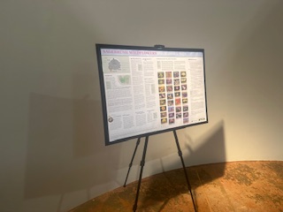 Sage Center IYRP Display