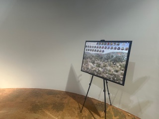 Sage Center IYRP Display