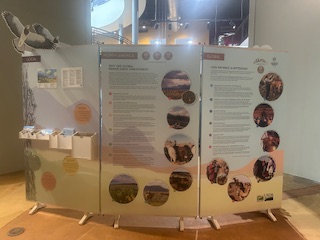 Sage Center IYRP Display