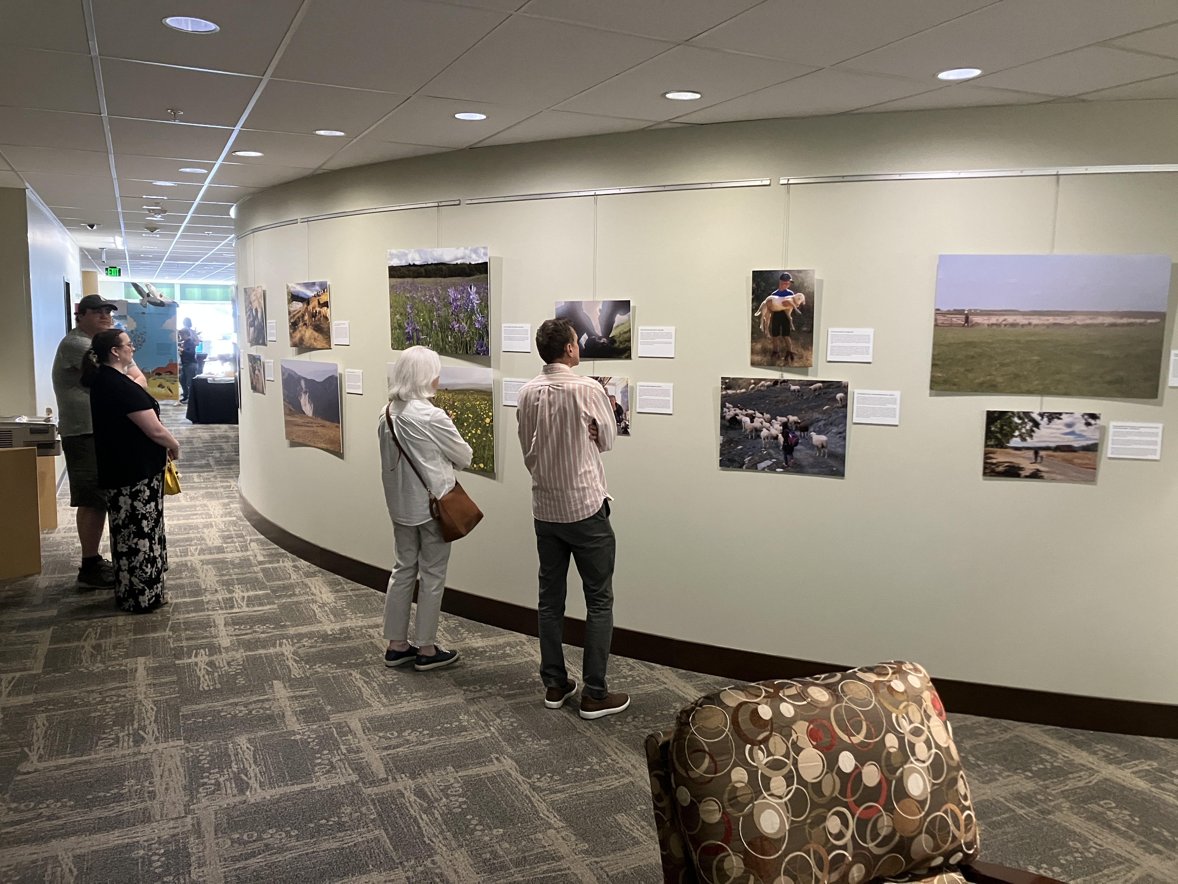 Speakers view exhibit photography at Olympia City Hall