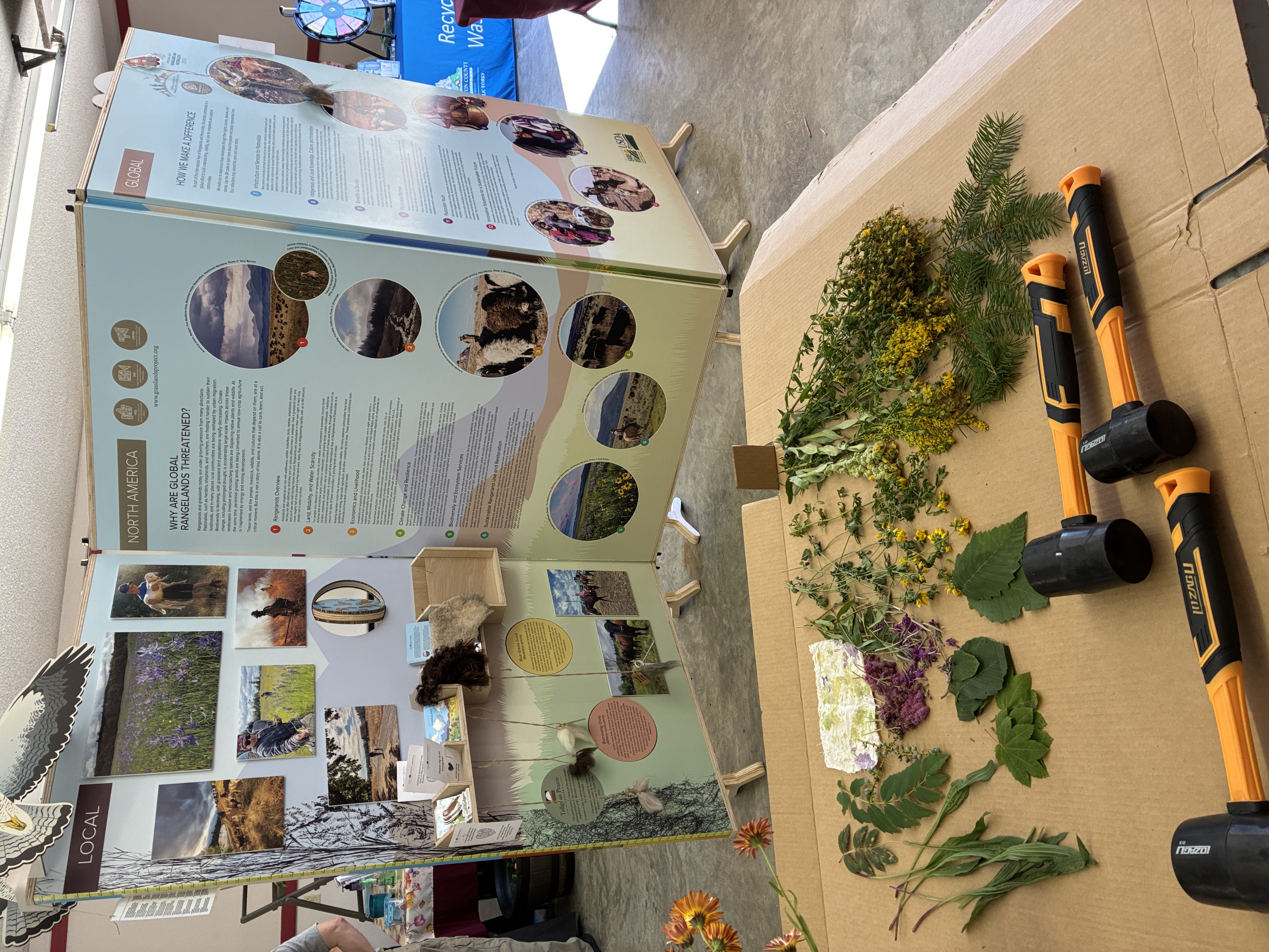 Fair IYRP exhibit with viewer