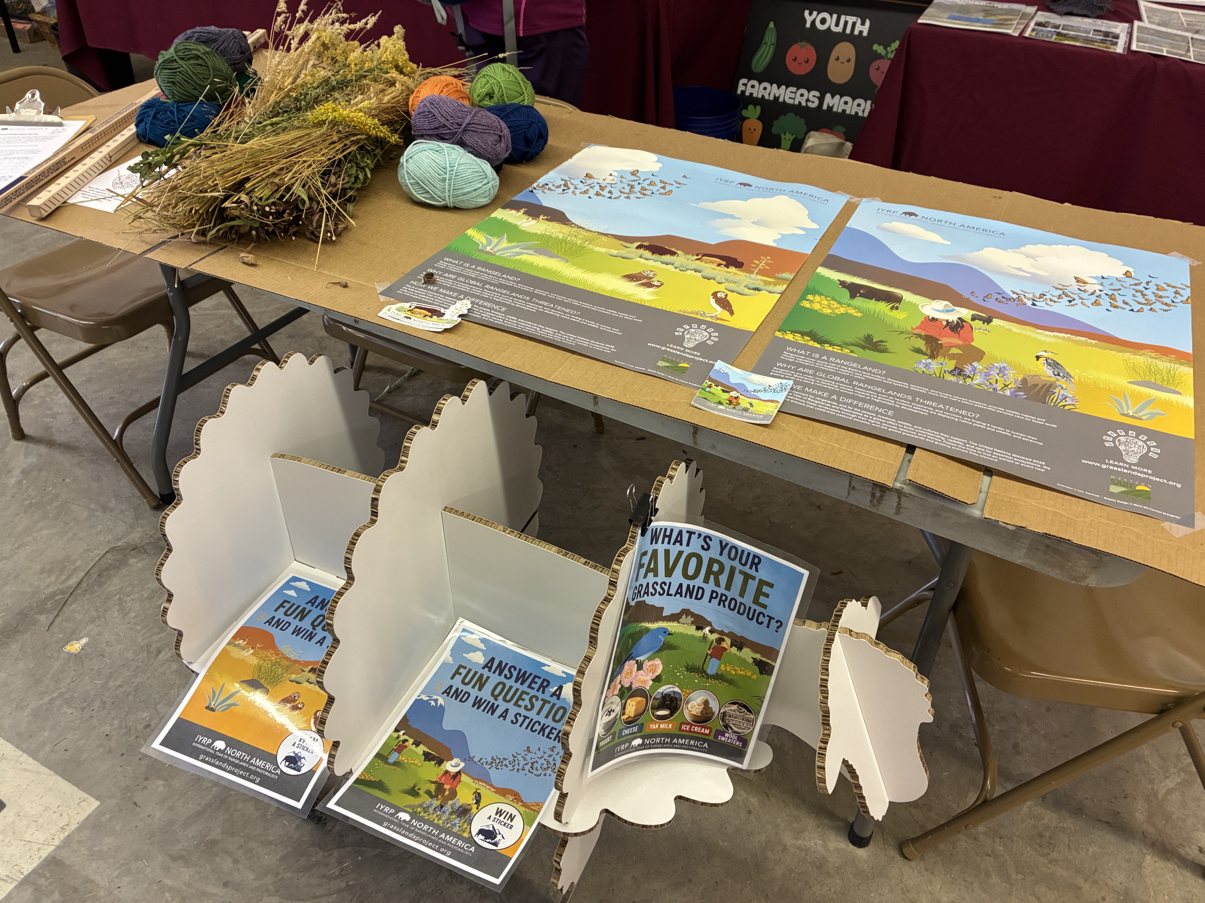 Fair IYRP exhibit with viewer