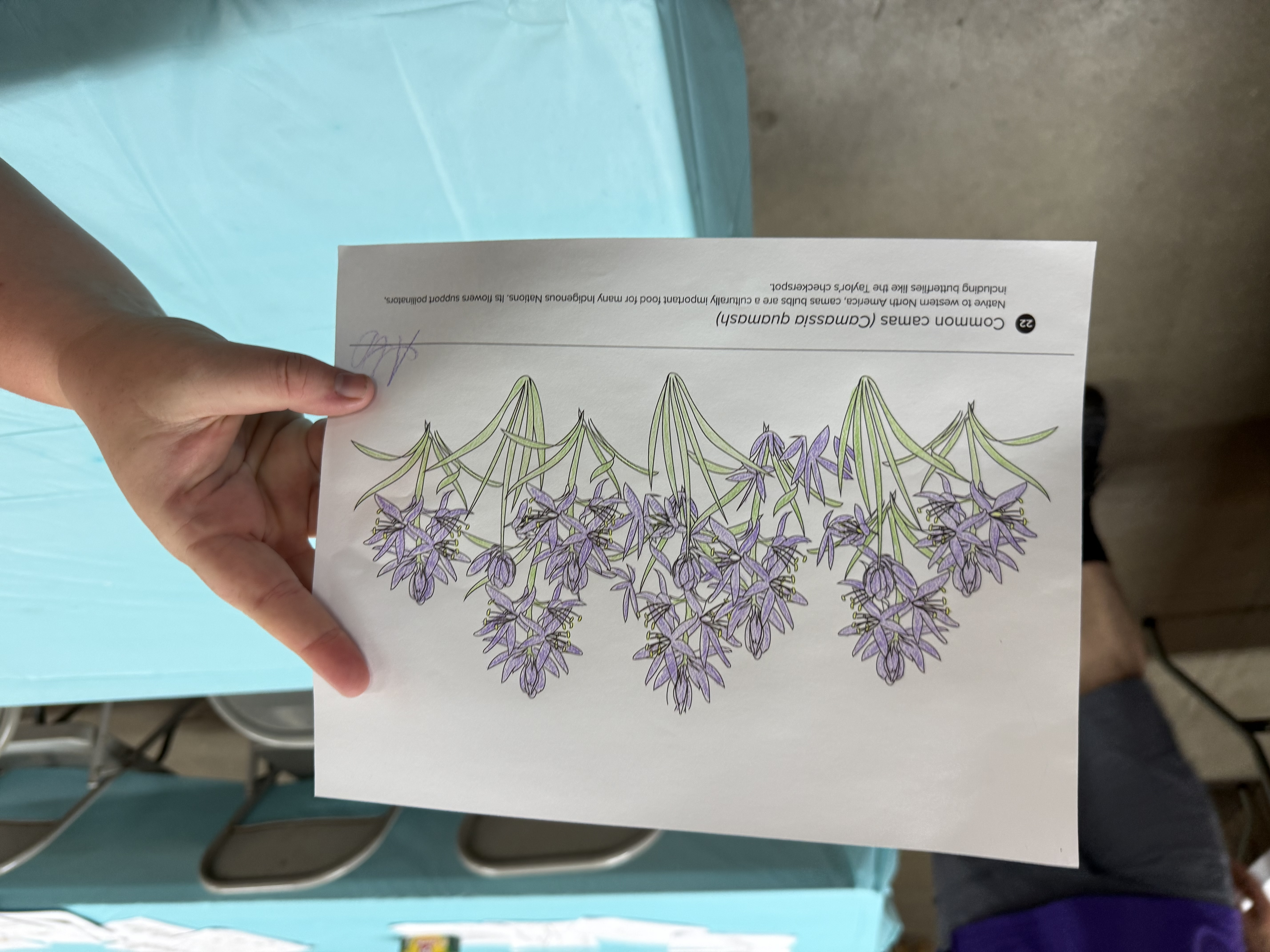Art workshops at Stanislaus County Fair