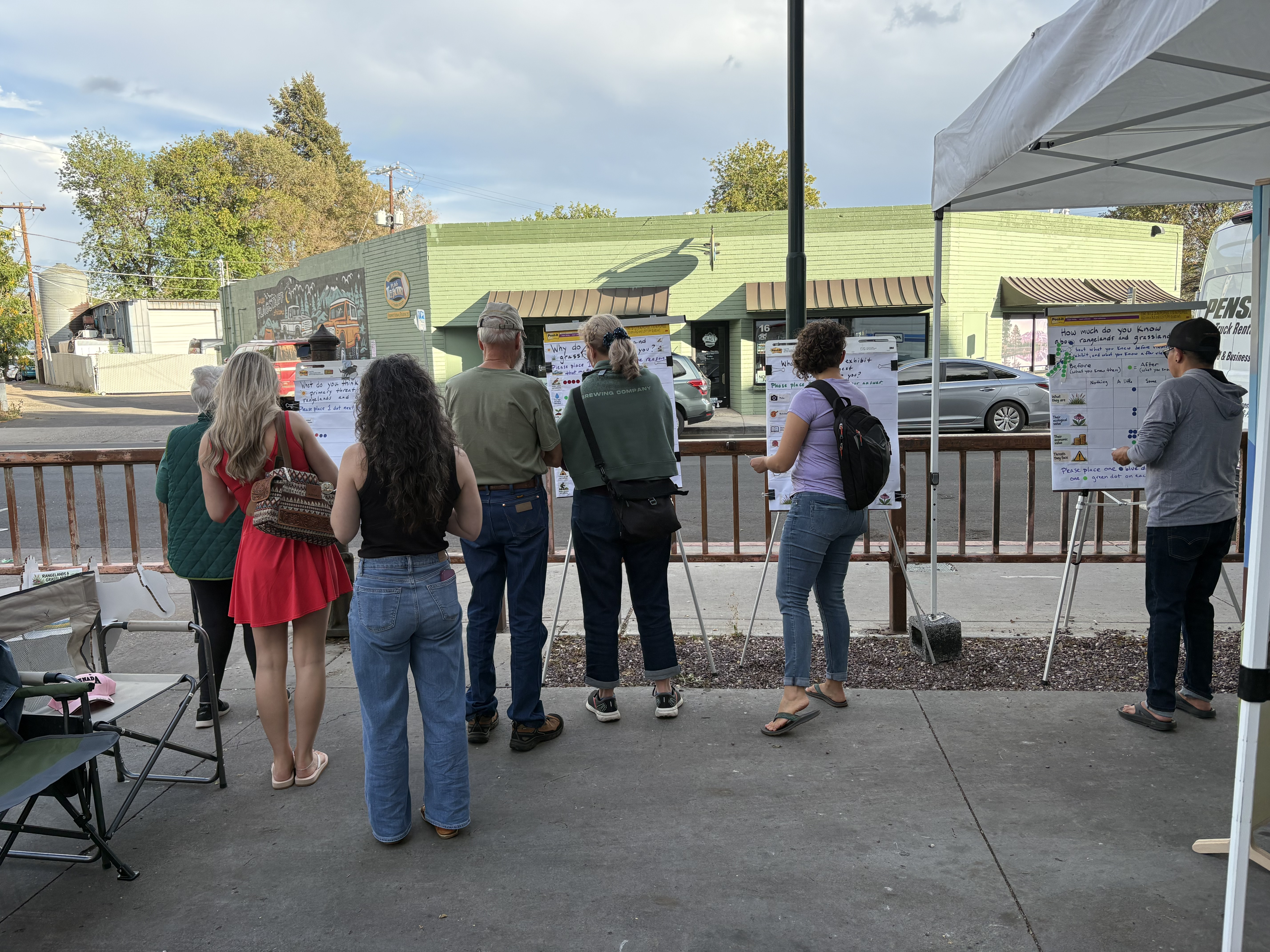 Attendees at film festival participating in IYRP dot survey